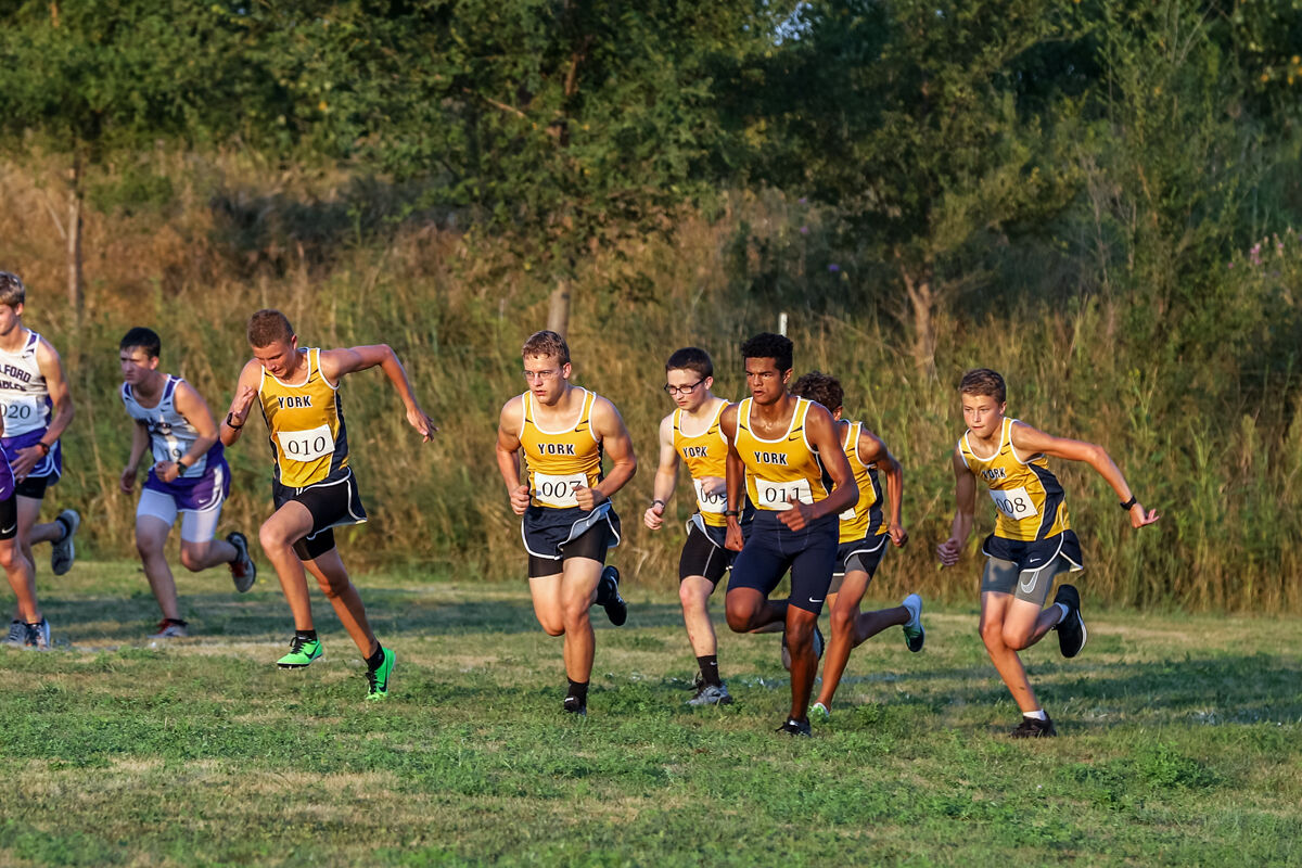 York McCool Cross Country (26).jpg